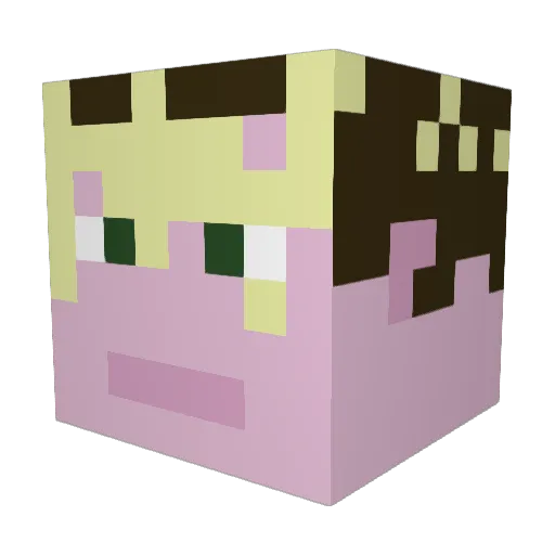 HunterSmarti Minecraft avatar head, 3D render