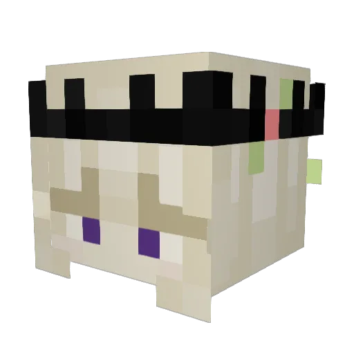 HunterVI Minecraft avatar head, 3D render
