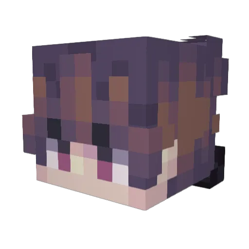 HunterX2yt Minecraft avatar head, 3D render