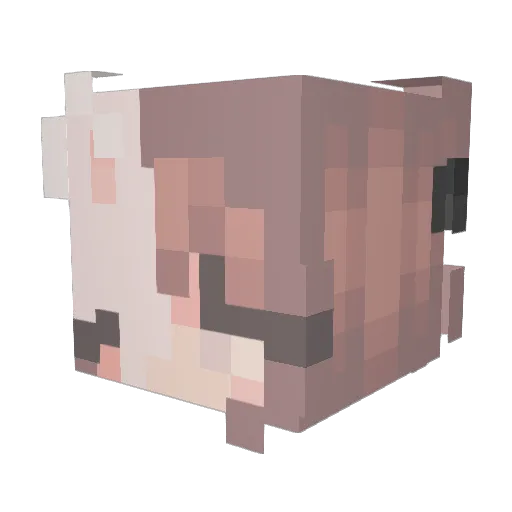 Hunter_0730 Minecraft avatar head, 3D render
