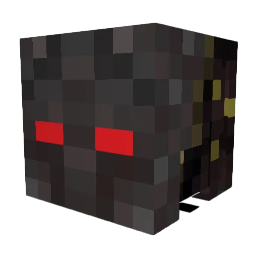 Hunter_Andy212 Minecraft avatar head, 3D render