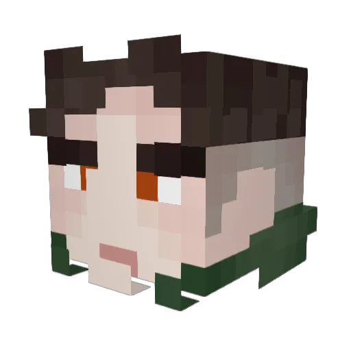 Hunter_Boy_09 Minecraft avatar head, 3D render