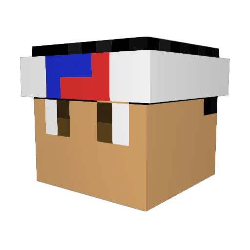 Hunter_D Minecraft avatar head, 3D render