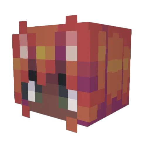 Hunter_Shns Minecraft avatar head, 3D render