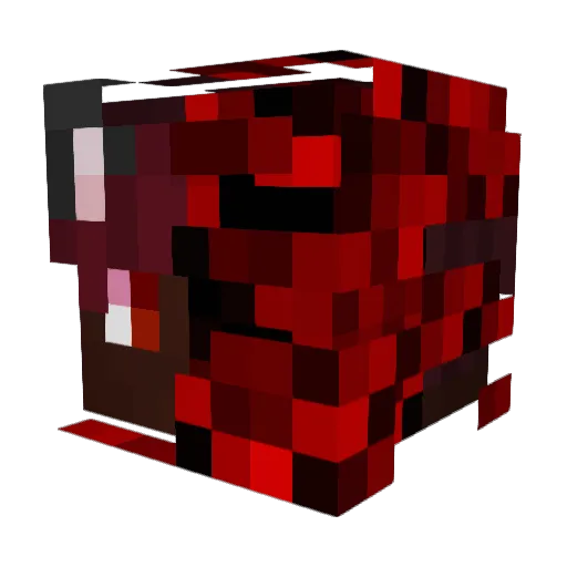 Hunter_Virus Minecraft avatar head, 3D render