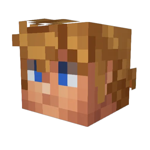 HunteroftheDark9 Minecraft avatar head, 3D render