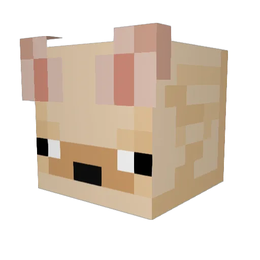 Hunterr_rr Minecraft avatar head, 3D render