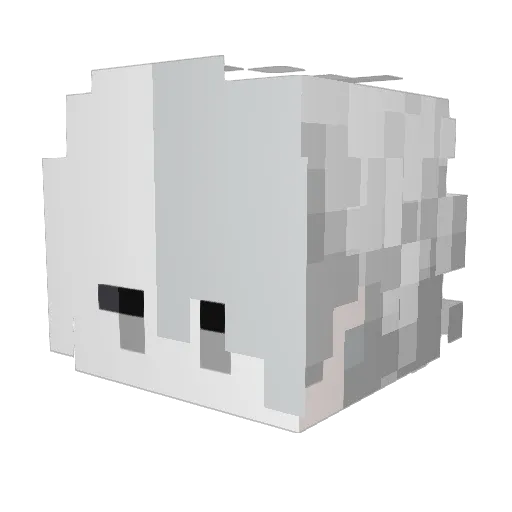 HuntingVeggies Minecraft avatar head, 3D render