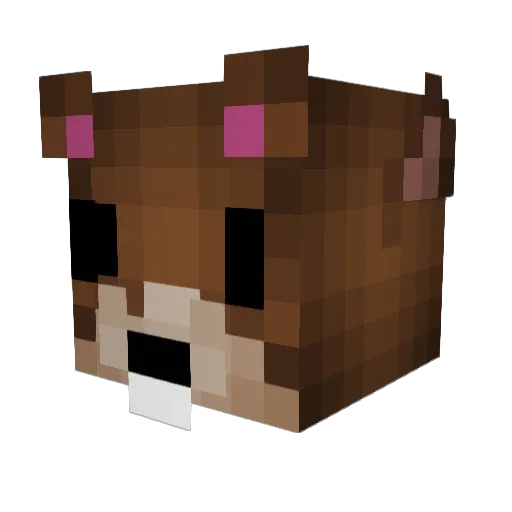 HuntyWuntyy Minecraft avatar head, 3D render
