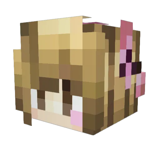 Minecraft-Avatar von Hunxy_: Kopf als 3D-Render