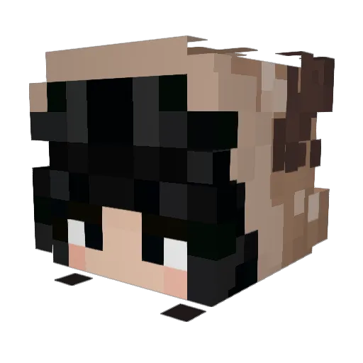 Hunycon Minecraft avatar head, 3D render