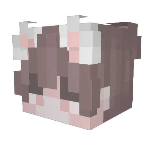 Hunyre Minecraft avatar head, 3D render