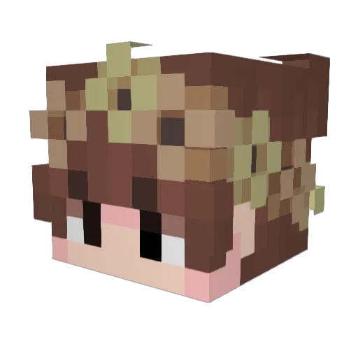 Huo_W Minecraft avatar head, 3D render