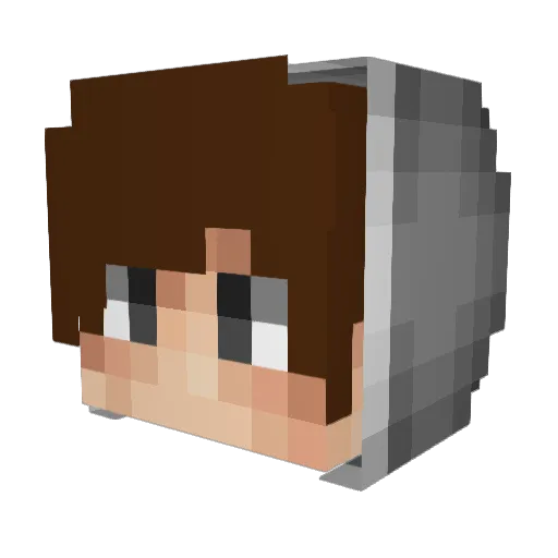 Hupi_1 Minecraft avatar head, 3D render