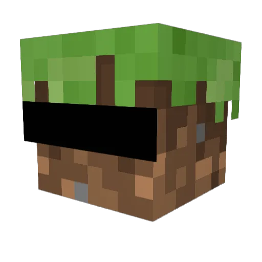 Hupla21 Minecraft avatar head, 3D render