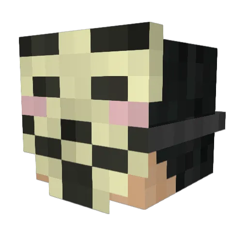 Hupsuli Minecraft avatar head, 3D render