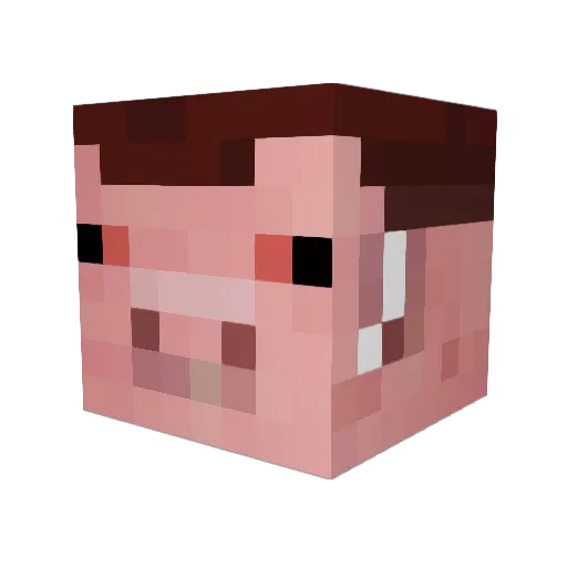 Hurr1kaani Minecraft avatar head, 3D render