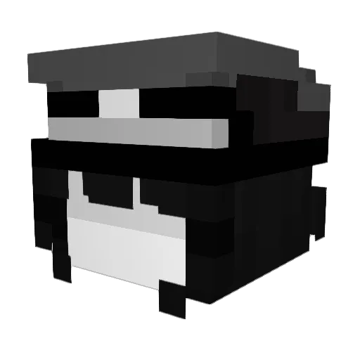 HurrayDLC6009 Minecraft avatar head, 3D render