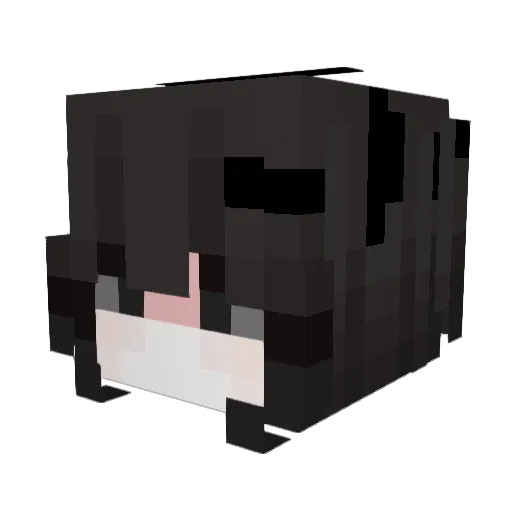HurricaneLexi Minecraft avatar head, 3D render