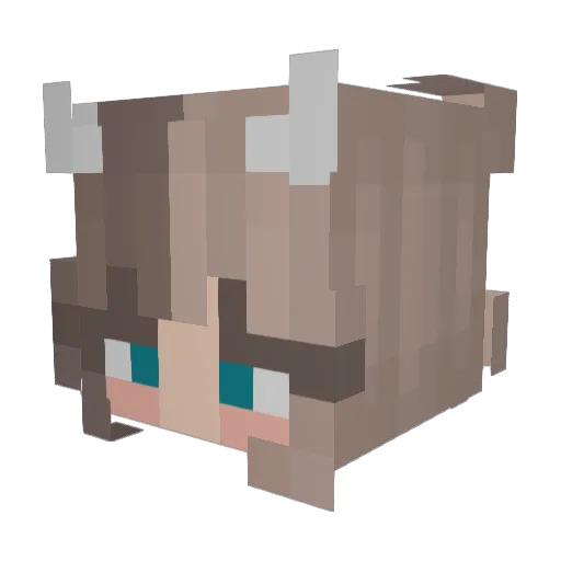 Hurricane_Hana Minecraft avatar head, 3D render