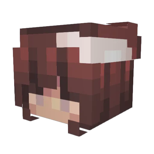 HurricanesRain Minecraft avatar head, 3D render