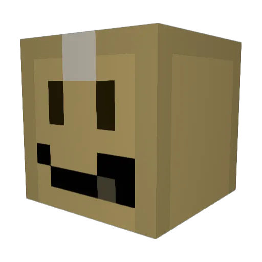 Hurtfullynx2457 Minecraft avatar head, 3D render