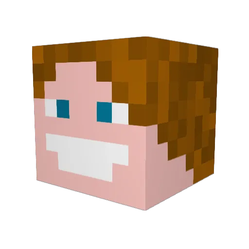 Hushmina Minecraft avatar head, 3D render