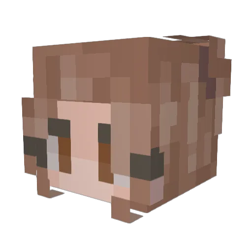 Hushpanda1 Minecraft avatar head, 3D render