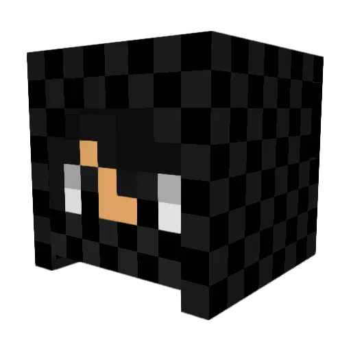 Husi_23 Minecraft avatar head, 3D render