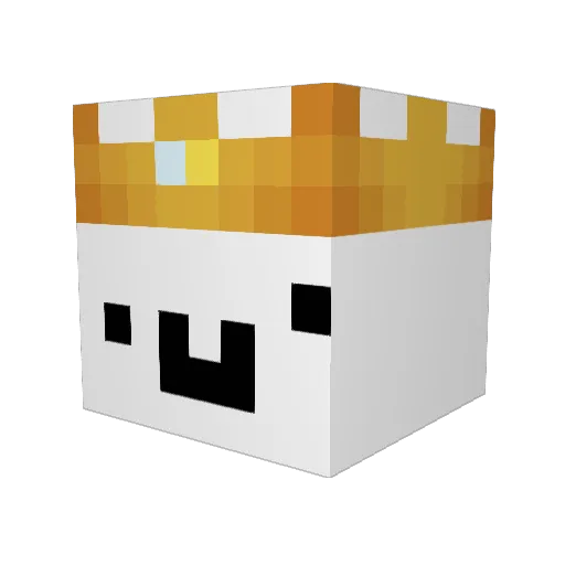 Husk5221 Minecraft avatar head, 3D render