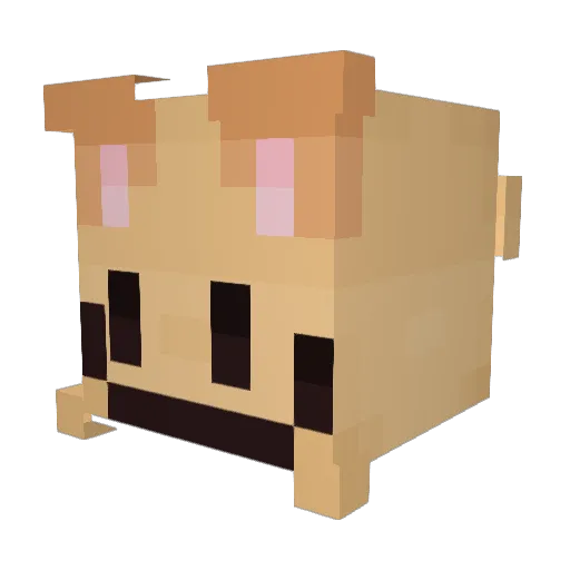 HuskDusk Minecraft avatar head, 3D render