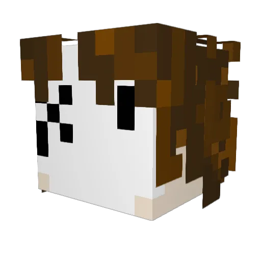 Husky1762 Minecraft avatar head, 3D render