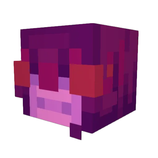 HuskyDoggo7890 Minecraft avatar head, 3D render