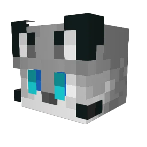 HuskyLover98 Minecraft avatar head, 3D render