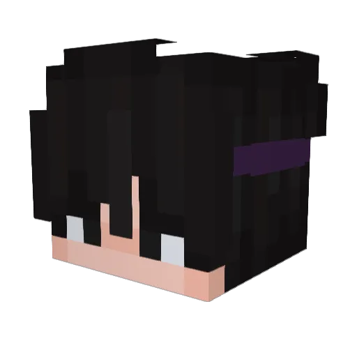 HuskyPlayz4848 Minecraft avatar head, 3D render