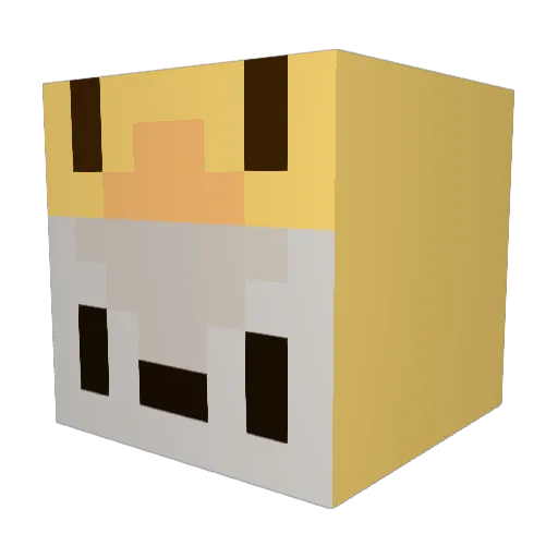 HuskyWeiEn Minecraft avatar head, 3D render