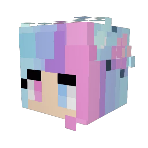 Husky_Pugs Minecraft avatar head, 3D render