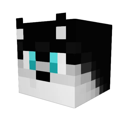 Huskylover150 Minecraft avatar head, 3D render
