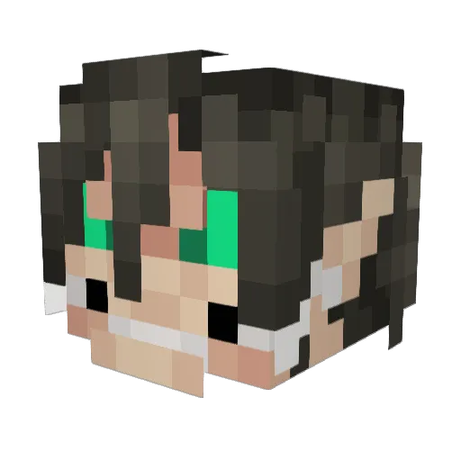 Huss25 Minecraft avatar head, 3D render