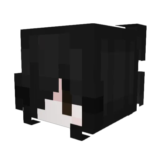 Huster3828 Minecraft avatar head, 3D render