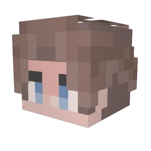 Husvhel27 Minecraft avatar head, 3D render