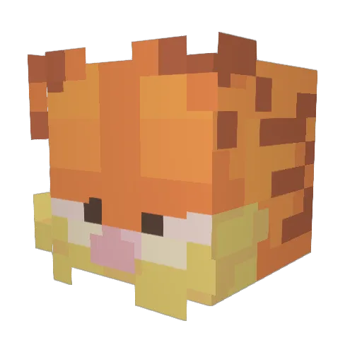 Hutdude_ Minecraft avatar head, 3D render