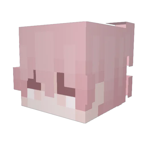 Hute69 Minecraft avatar head, 3D render