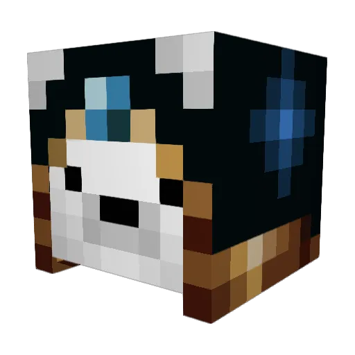 HutsRuben Minecraft avatar head, 3D render