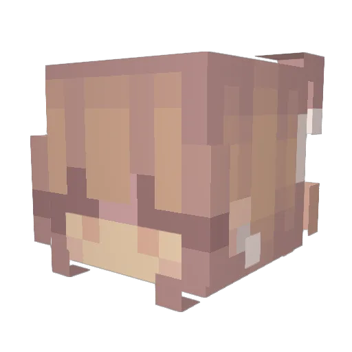 Huttetu06 Minecraft avatar head, 3D render