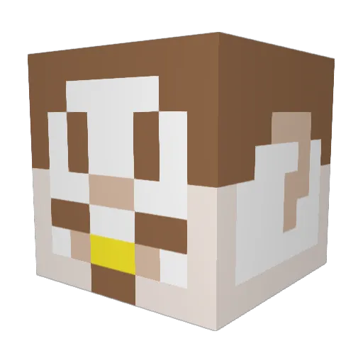 Huungri Minecraft avatar head, 3D render