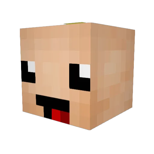 Huutspot Minecraft avatar head, 3D render