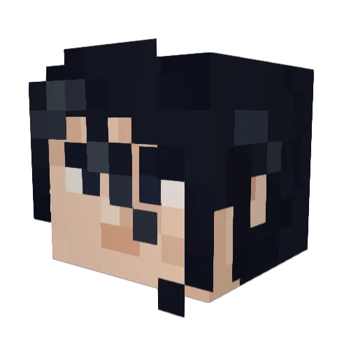 HvKarajan89 Minecraft avatar head, 3D render