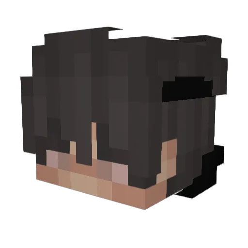 Hville Minecraft avatar head, 3D render