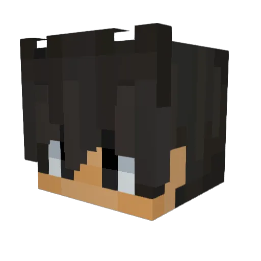 HvnnerSon Minecraft avatar head, 3D render